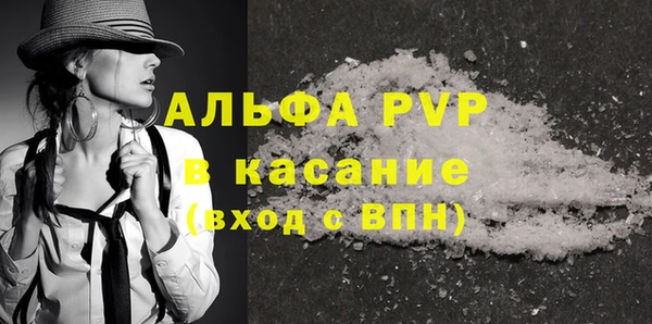 молекула духа Козельск